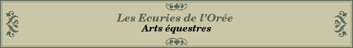 Les Ecuries de l'Orée 